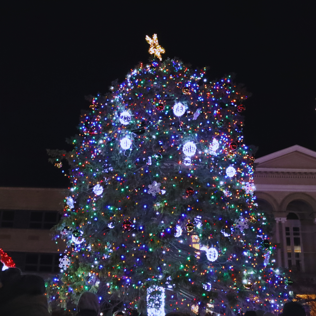 Downtown Monroe Christmas Tree